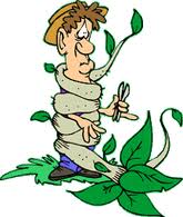 Boj med vrtovi ali komu bo sploh zrasla čebula?