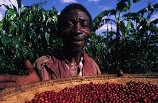 Želite spremeniti svet? Začnite z jutranjo skodelico kave