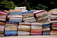 Kako pogosto menjate svojega?