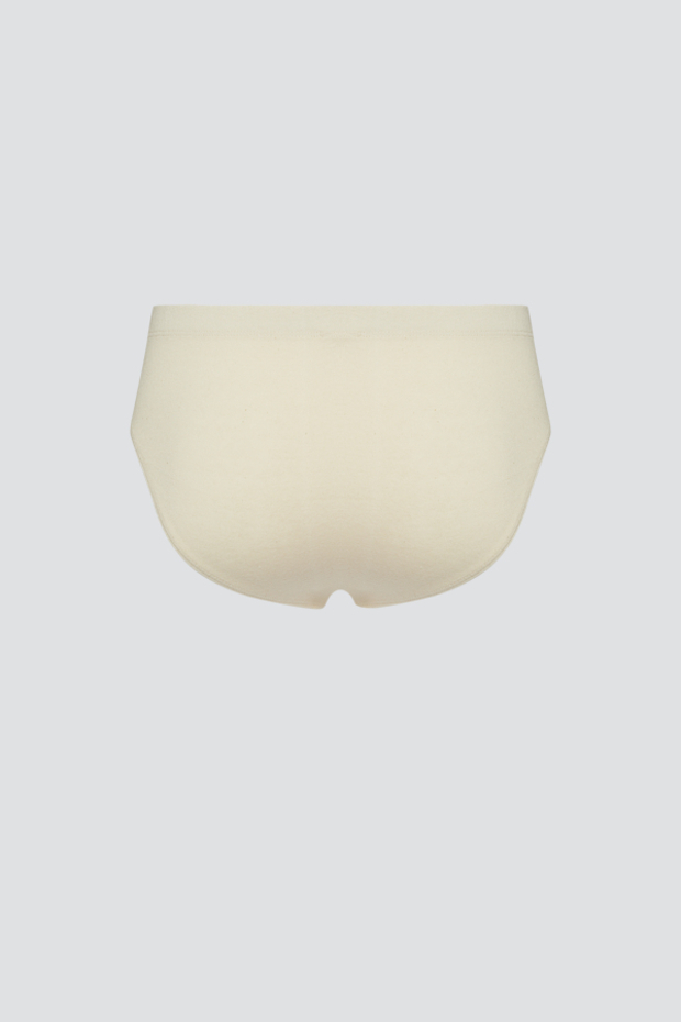 Moške slip spodnjice iz eko bombaža NATUR Moške slip spodnjice iz eko bombaža NATUR