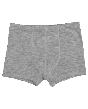 Moške bokser, sive - volna, svila