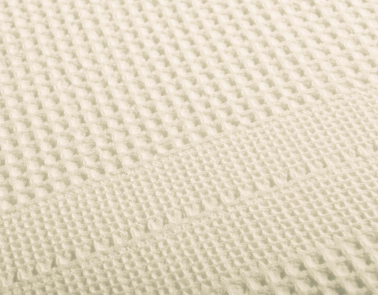 Kuhinjska krpa 35x50 Barva: natur Kuhinjska krpa 35x50 Barva: natur