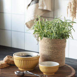 Set 3 skodelic mustard